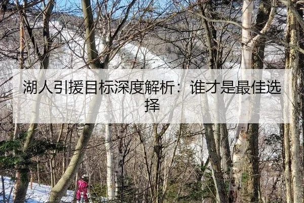 湖人引援目标深度解析：谁才是最佳选择